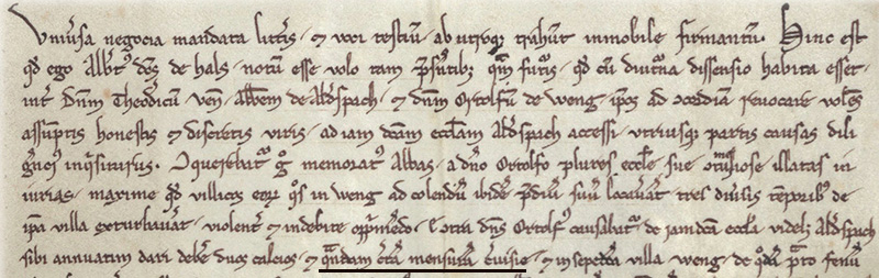 Zweiterwähnung 1268. Bild: © Bayerisches Hauptstaatsarchiv München, https://www.monasterium.net